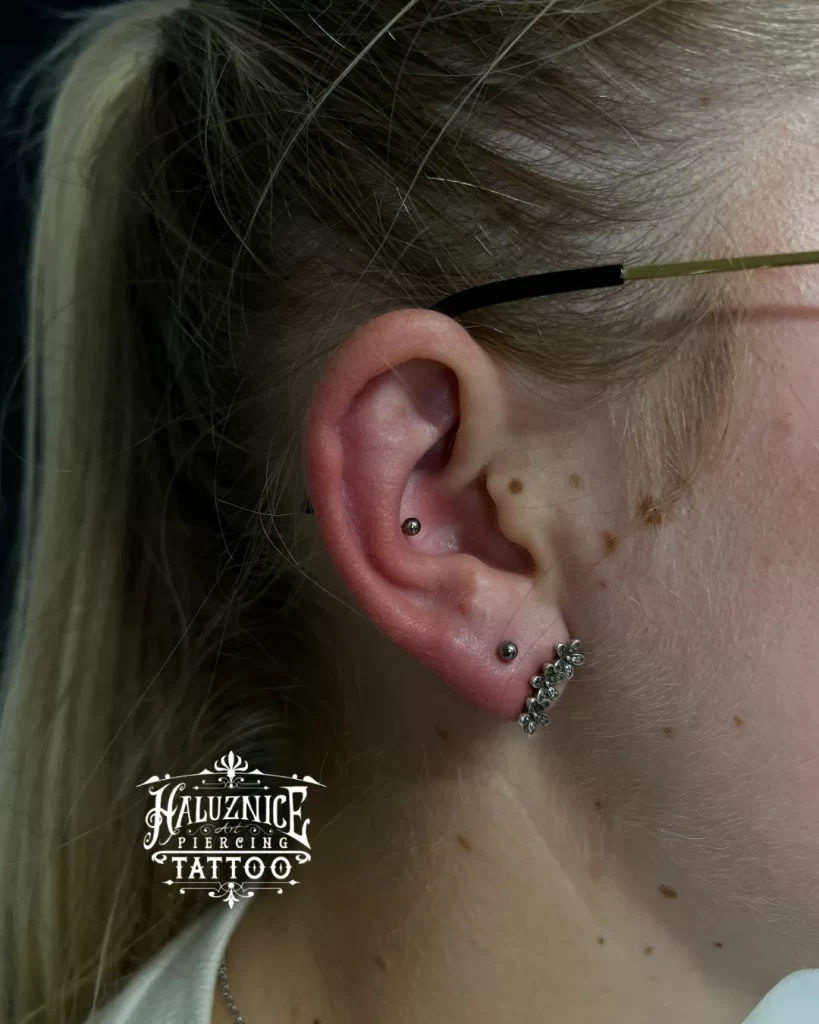 Conch Lobe Basic