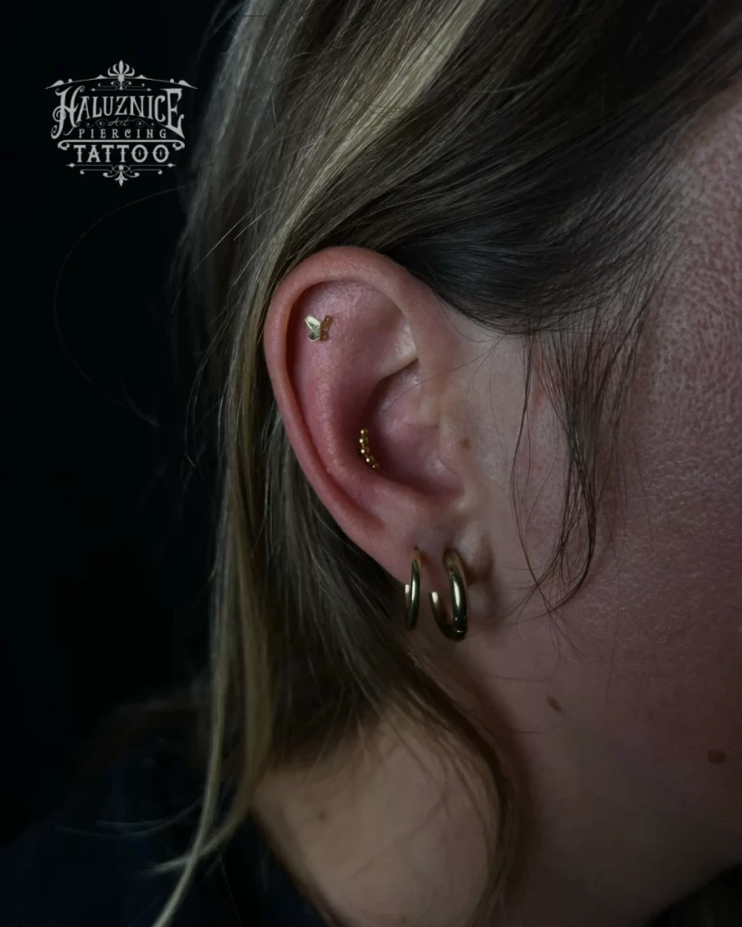 Conch gold