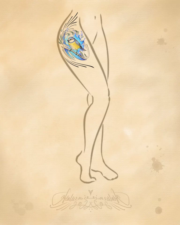 motiv_noháv_sýkorka